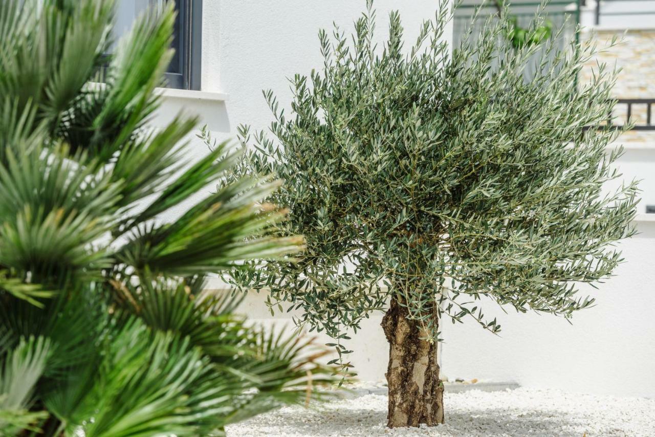 Apartments Villa Dalmatia Trogir Zewnętrze zdjęcie